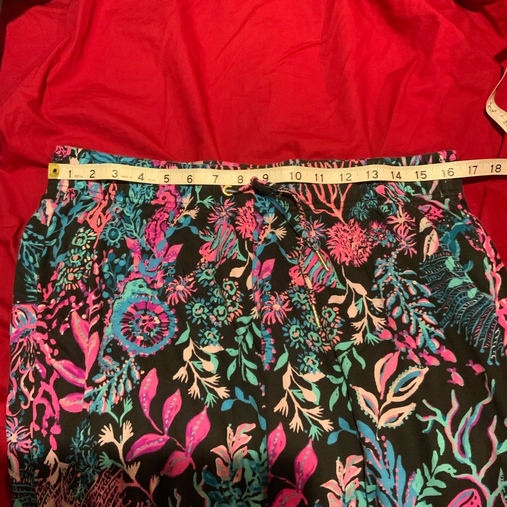 Lilly Pulitzer Pink and Blue Floral Cropped Pants - Picture 5 of 5